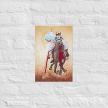 Load image into Gallery viewer, Pakistallion

